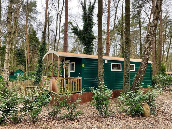 Originele overnachten in een sfeervolle Pipowagen met omheinde tuin Originele overnachten in een sfeervolle Pipowagen met omheinde tuin