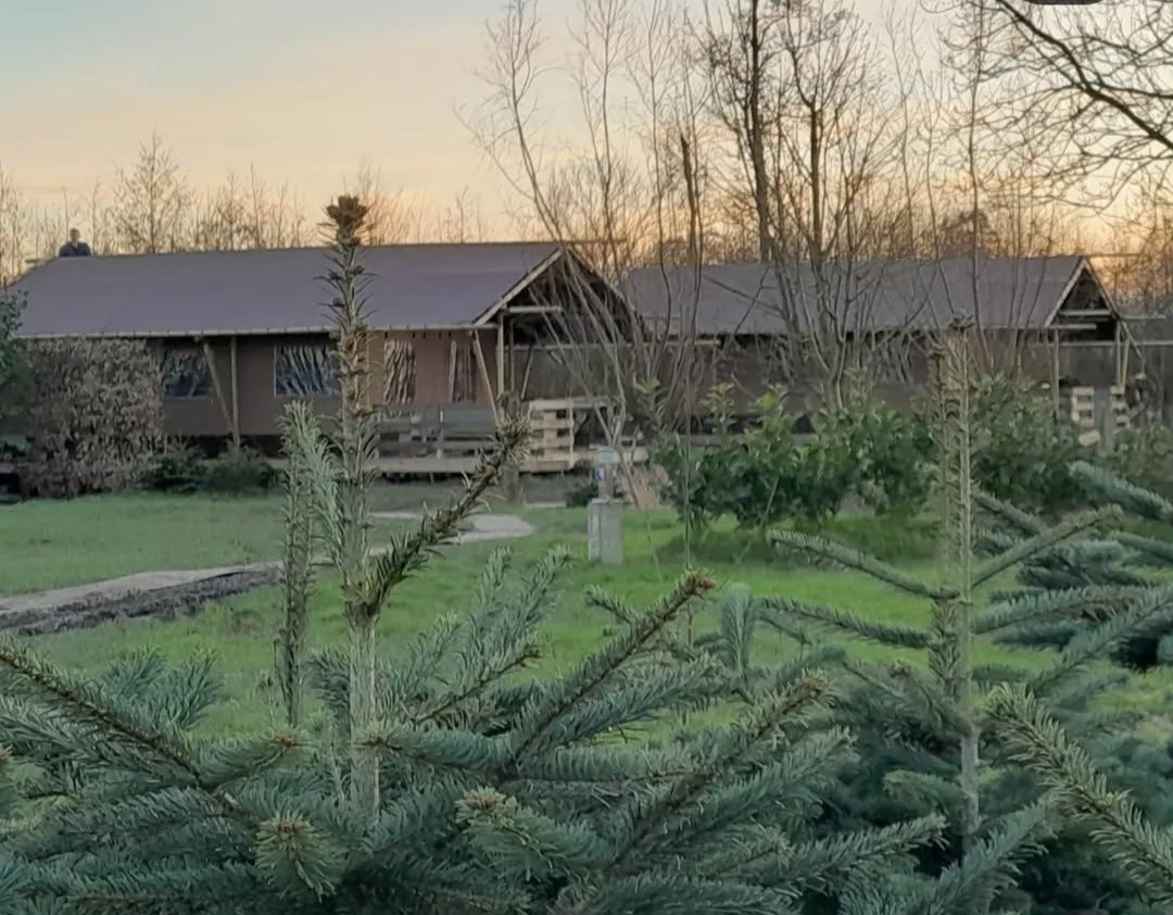 Glamping in een safaritent met sanitair