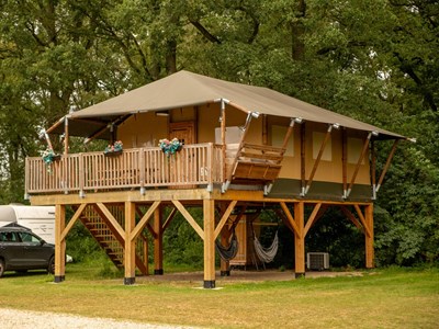Glamping in een Safari Boomhut Glamping in een Safari Boomhut