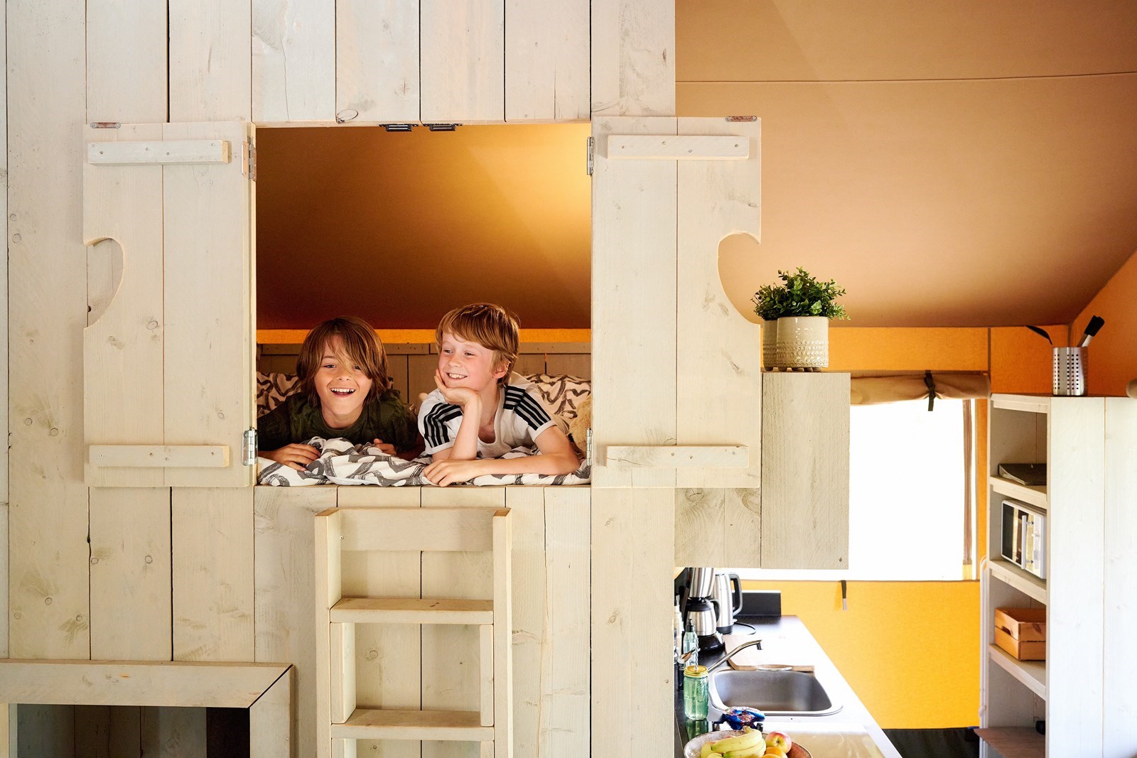 Glamping in een Safari Boomhut