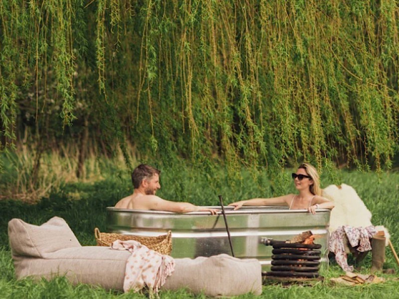 Authentieke Woonwagen onder een majestueuze notenboom