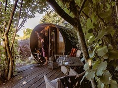 Authentieke Woonwagen onder een majestueuze notenboom Authentieke Woonwagen onder een majestueuze notenboom