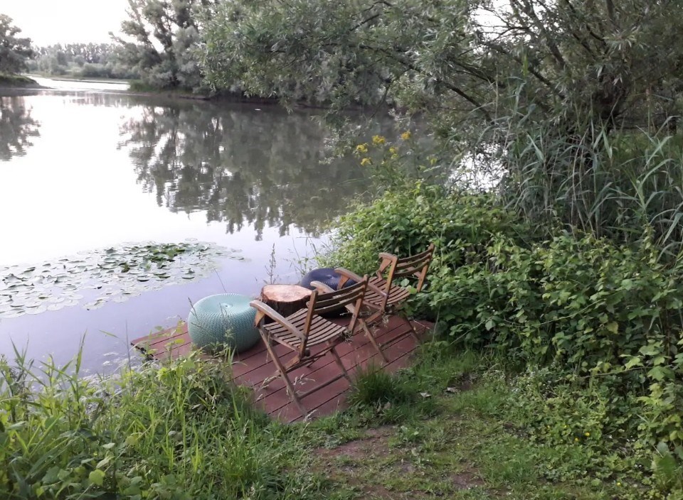 Tiny house met uitzicht op de beverburcht
