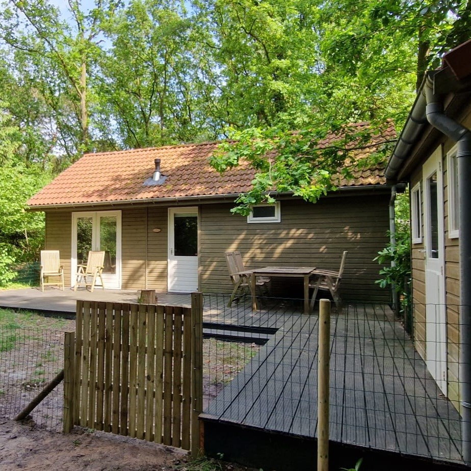 Vrijstaand boshuisje midden in de natuur met een sauna