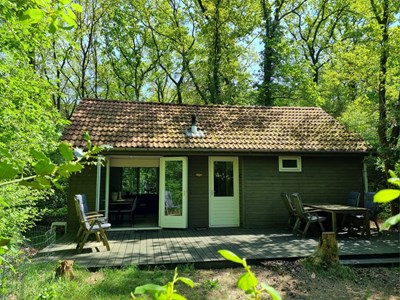 Vrijstaand boshuisje midden in de natuur met een sauna Vrijstaand boshuisje midden in de natuur met een sauna
