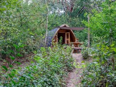 Origineel overnachten in een POD in Drenthe Origineel overnachten in een POD in Drenthe