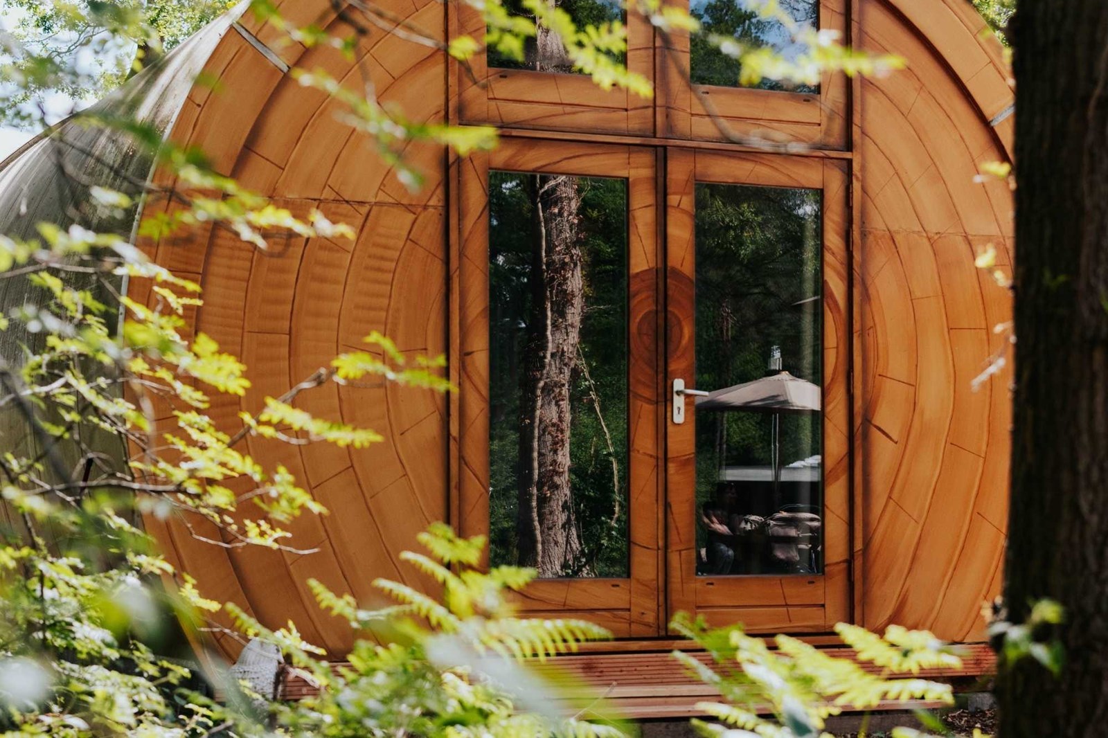 Bijzondere Boomstam op een boscamping