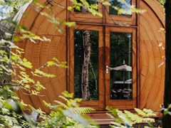 Bijzondere Boomstam op een boscamping Bijzondere Boomstam op een boscamping