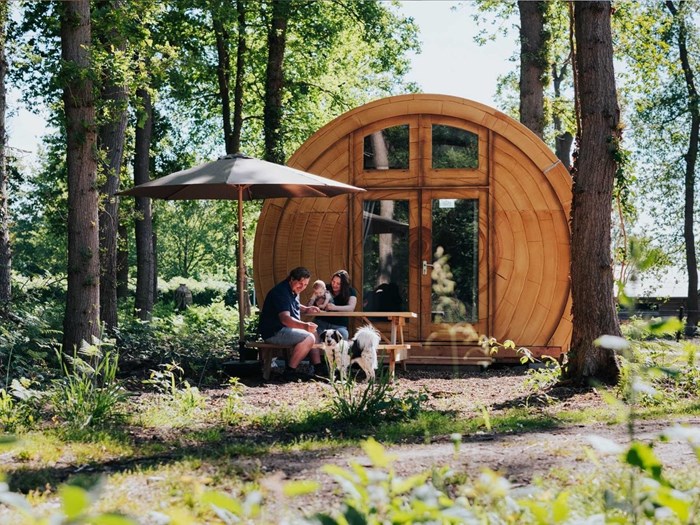 Bijzondere Boomstam op een boscamping Bijzondere Boomstam op een boscamping