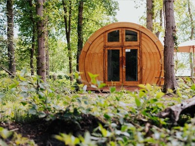 Bijzondere Boomstam op een boscamping Bijzondere Boomstam op een boscamping