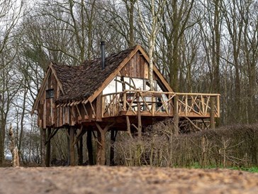 Boomhut XXL Boomhut XXL
