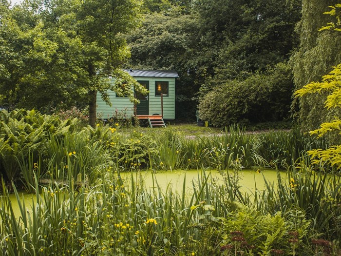 Unieke handgemaakte herderswagen door een kunstenaar Unieke handgemaakte herderswagen door een kunstenaar