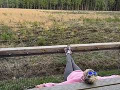 Boomhut met een waanzinnig uitzicht over de velden van Natuurmonumenten Boomhut met een waanzinnig uitzicht over de velden van Natuurmonumenten
