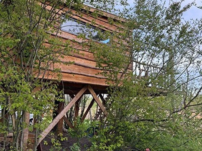 Boomhut met een waanzinnig uitzicht over de velden van Natuurmonumenten Boomhut met een waanzinnig uitzicht over de velden van Natuurmonumenten