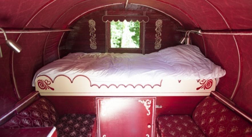 Pipowagen de Papegaai