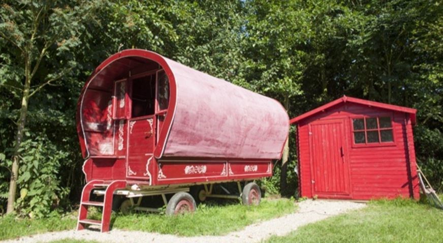 Pipowagen de Papegaai