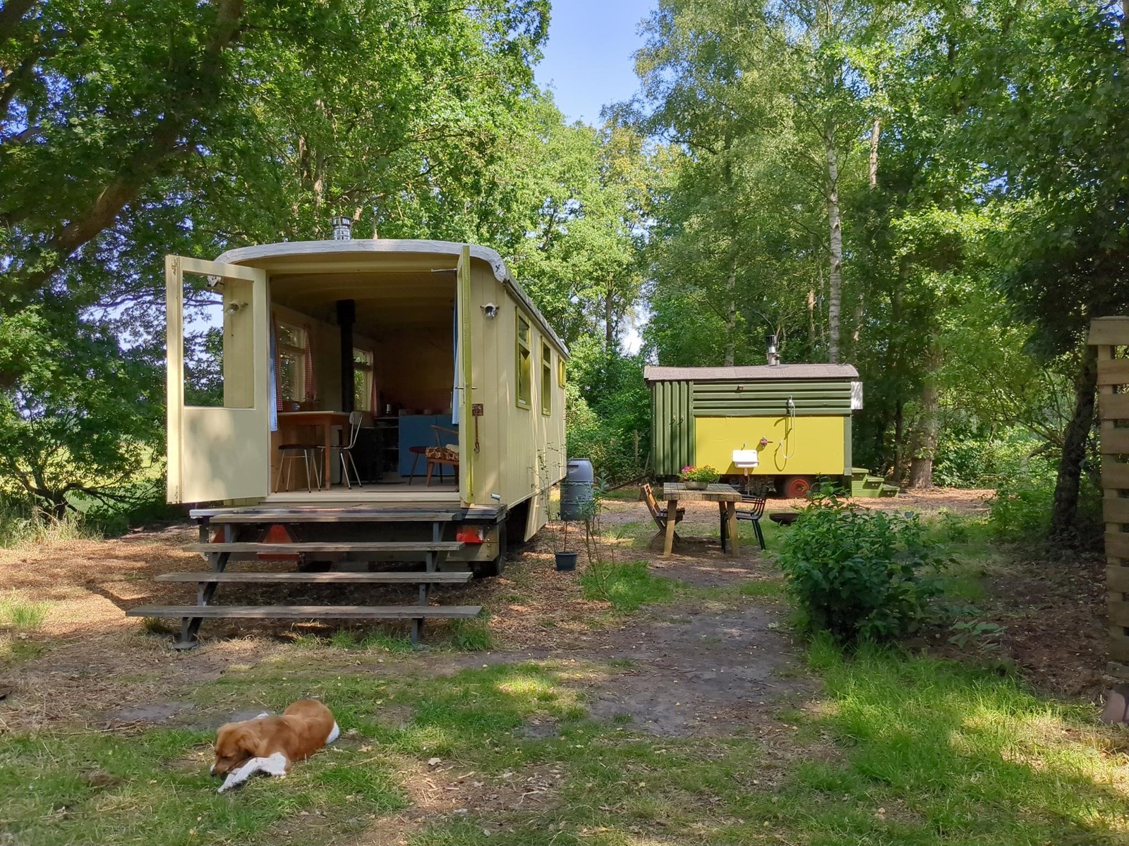 Pipowagen met eigen toilet- en douchekar en volledige privacy