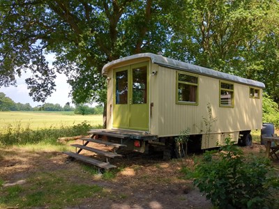 Slapen in een pipowagen met eigen toilet- en douchekar Slapen in een pipowagen met eigen toilet- en douchekar