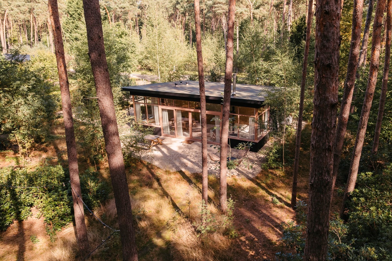 Stijlvolle mid-century bungalow met 2000 m2 aan privébos in de Vlaamse Kempen (Lille)