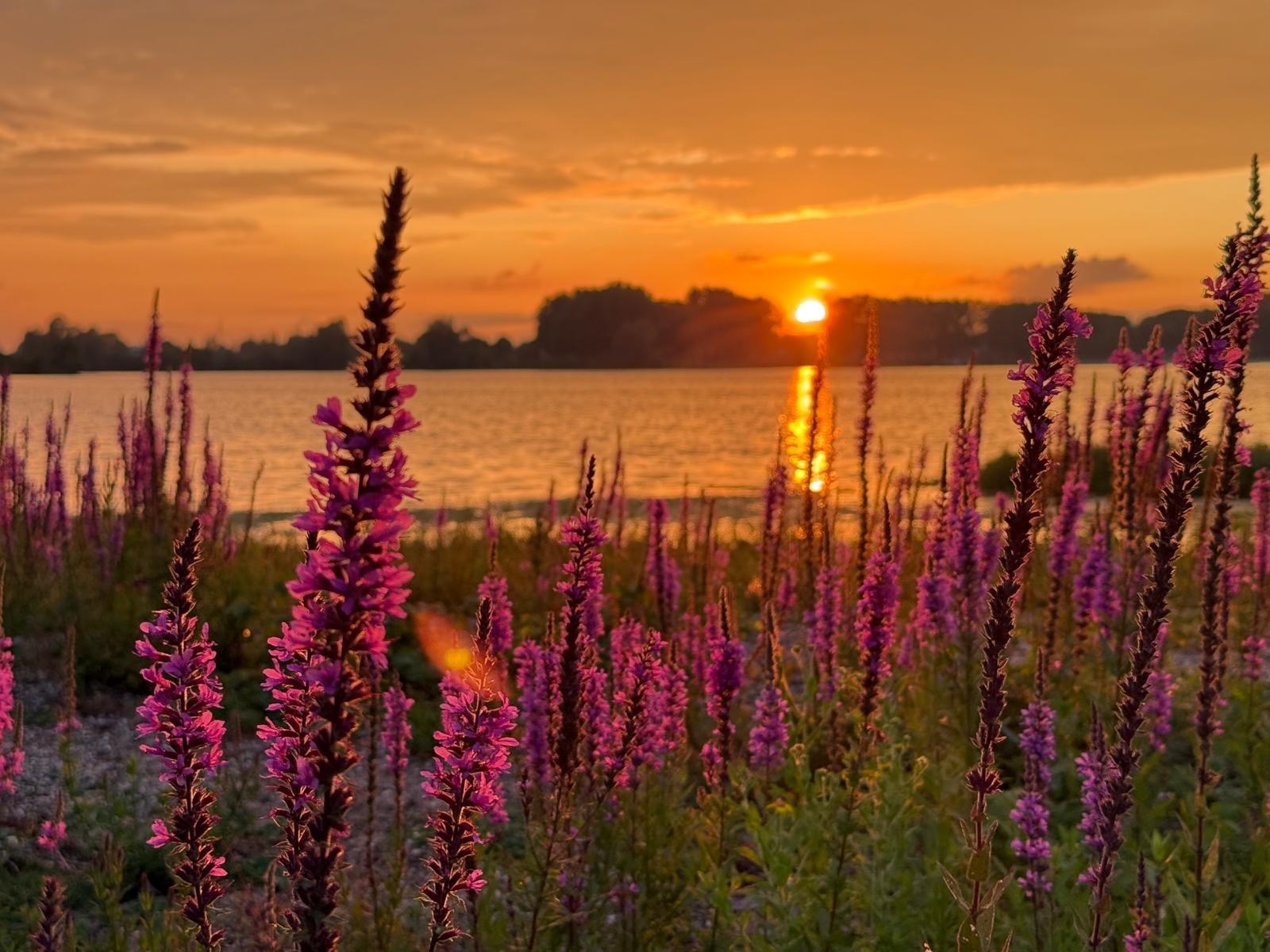 Houseboat midden in de natuur én de vrijheid om zelf te varen