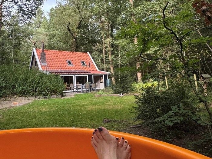 Boshuisje met hottub op een unieke plek midden in het bos Boshuisje met hottub op een unieke plek midden in het bos