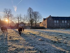 Overnachten in de voormalige bakkerij van een Kasteel in Limburg Overnachten in de voormalige bakkerij van een Kasteel in Limburg