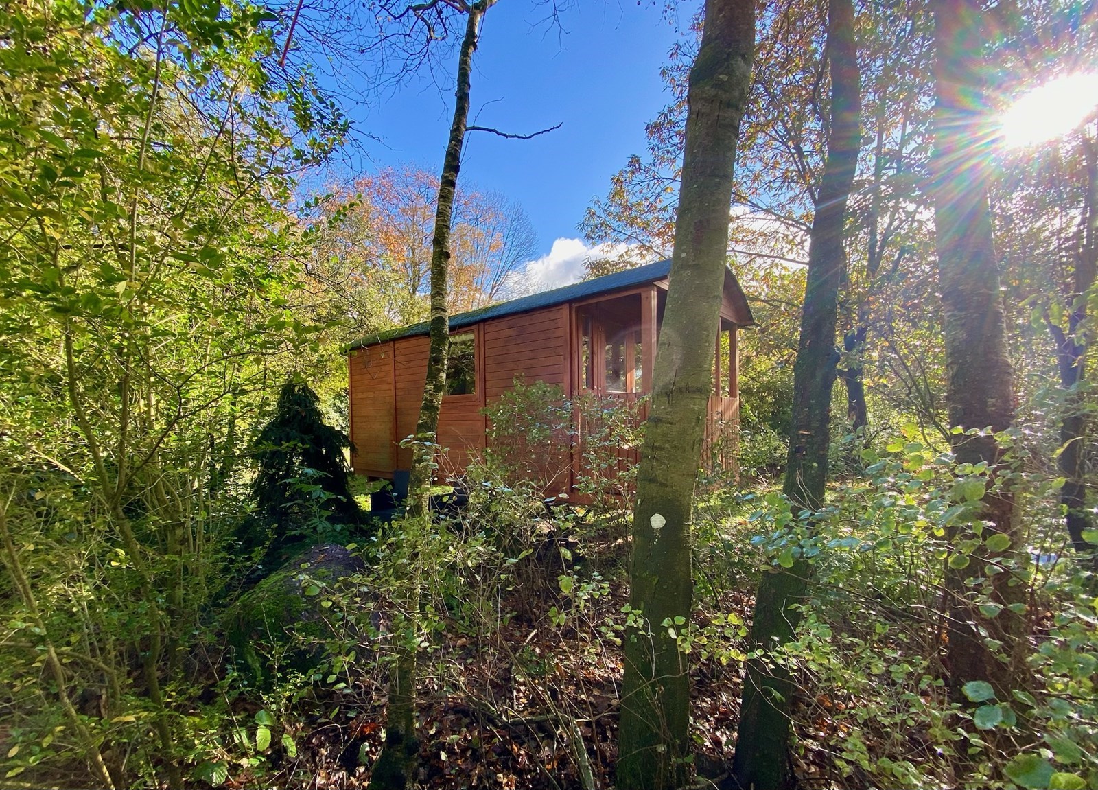 Origineel overnachten in een Wildhut, een Tiny-Home met uitzicht op wild