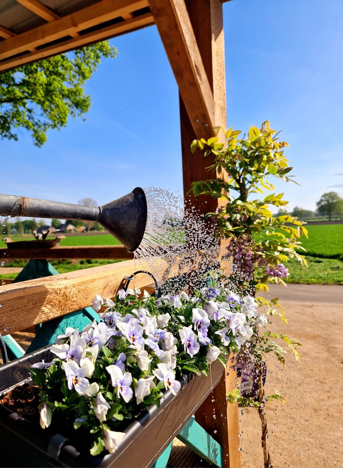 Charmante Pipowagen met knusse bedstee