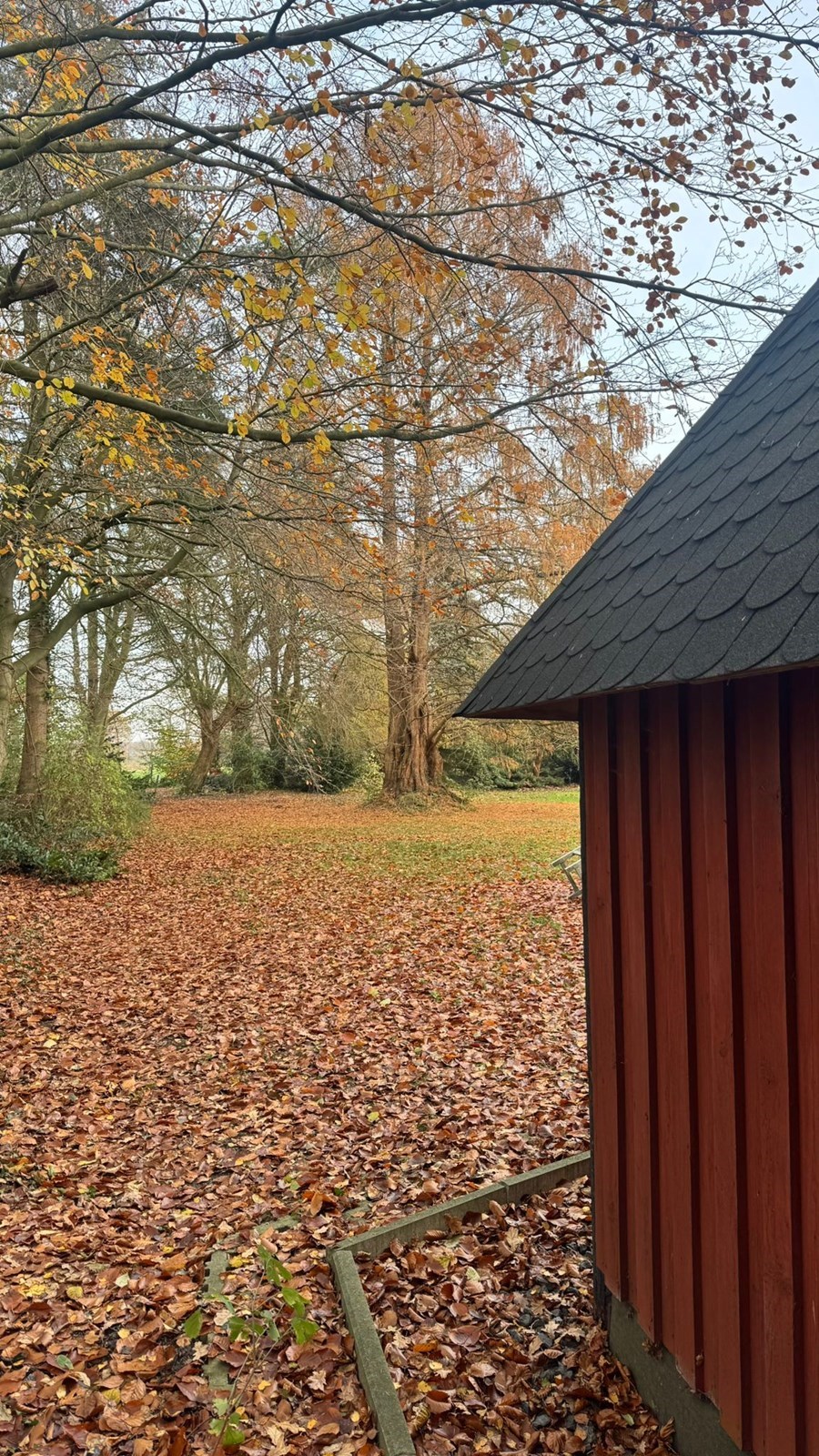 Scandinavische Kota met sauna