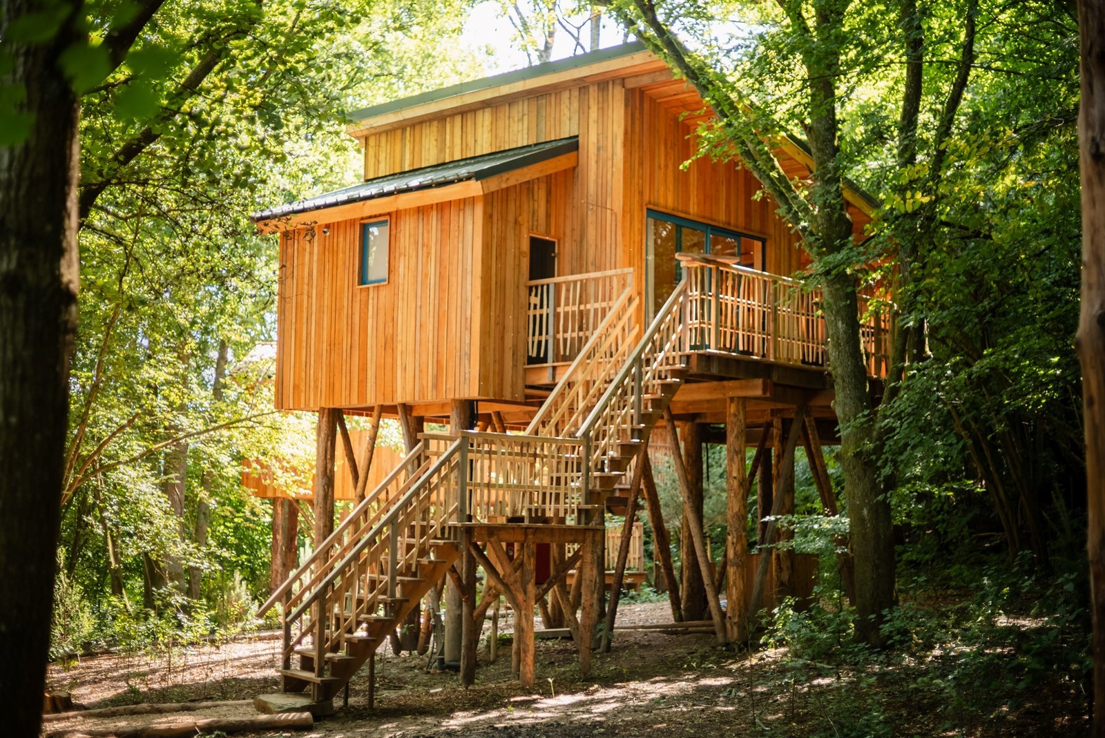 Unieke Boomhut met Scandinavisch bad en een sauna