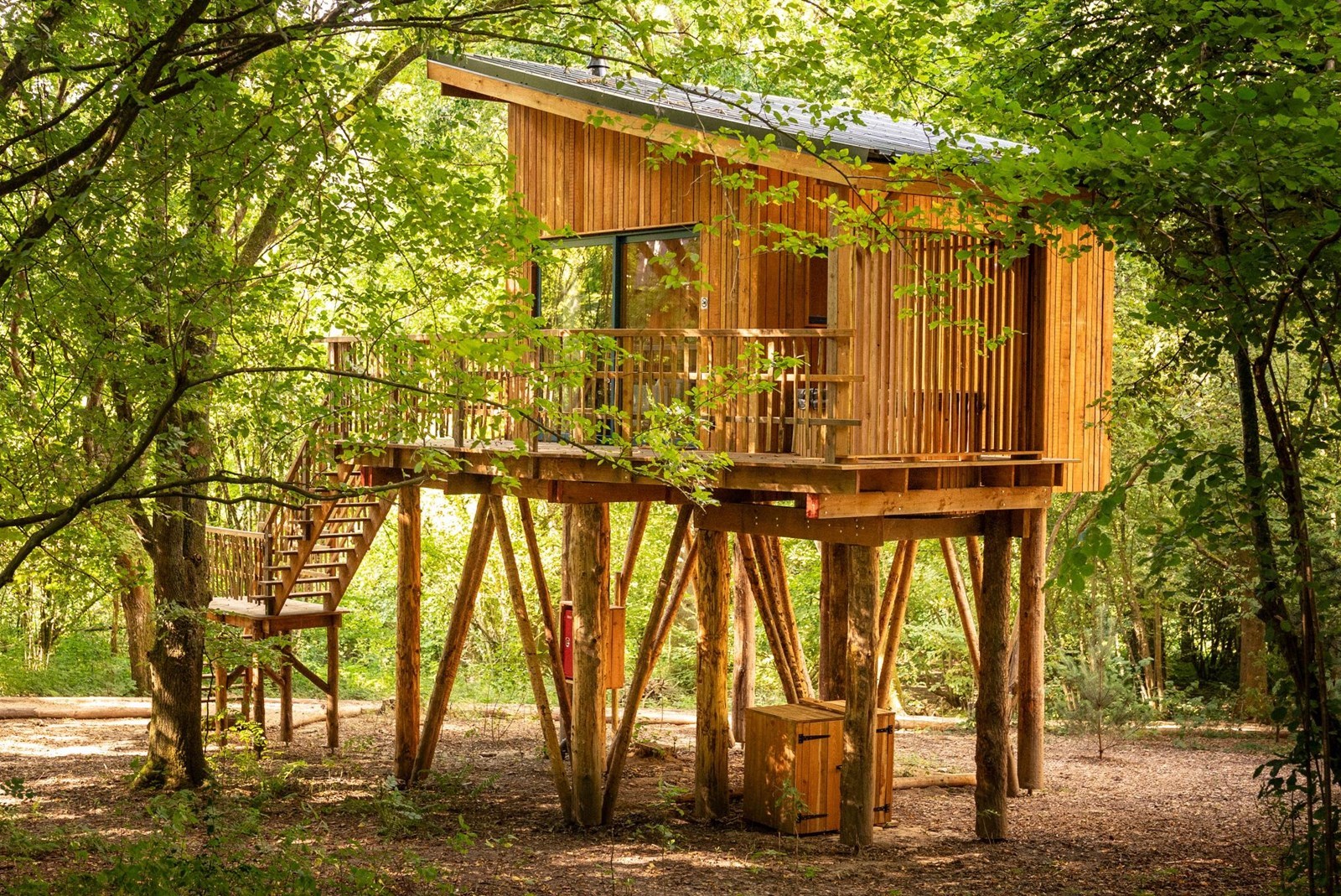 Unieke Boomhut met Scandinavisch bad en een sauna