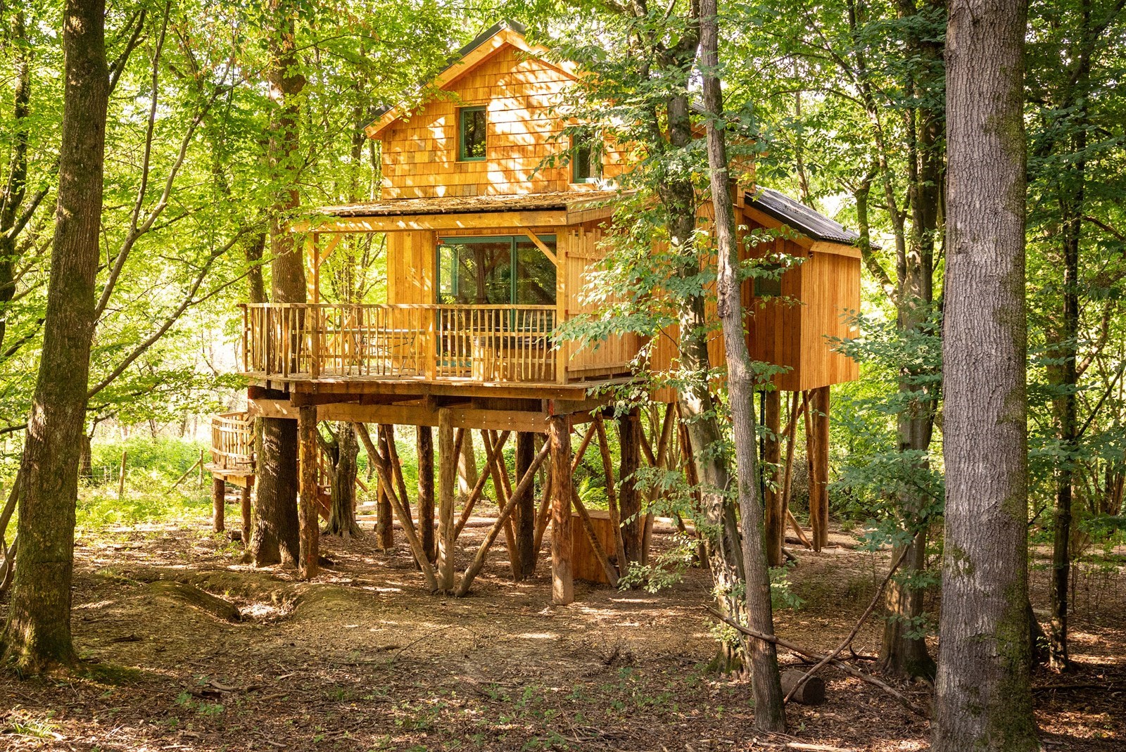 Unieke Boomhut met overdekt terras en Scandinavisch bad