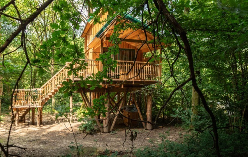 Unieke Boomhut ontworpen voor wie houdt van rust, natuur én slapen op hoogte