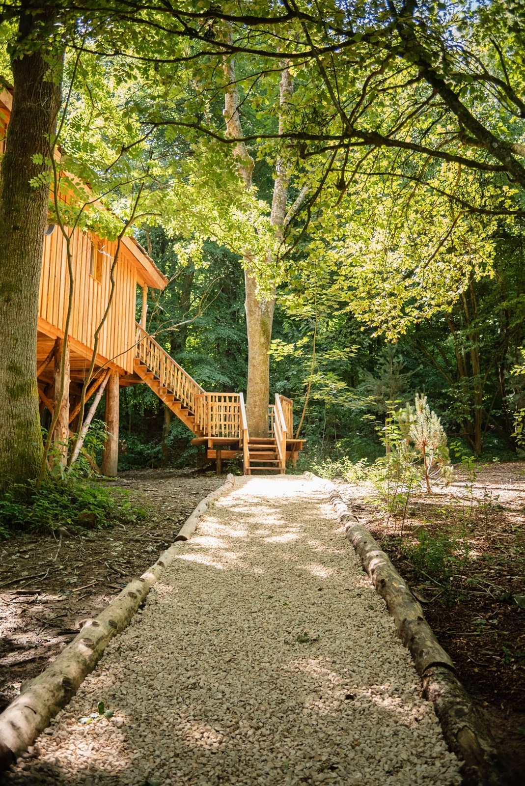 Unieke Boomhut met jacuzzi en sauna op het terras