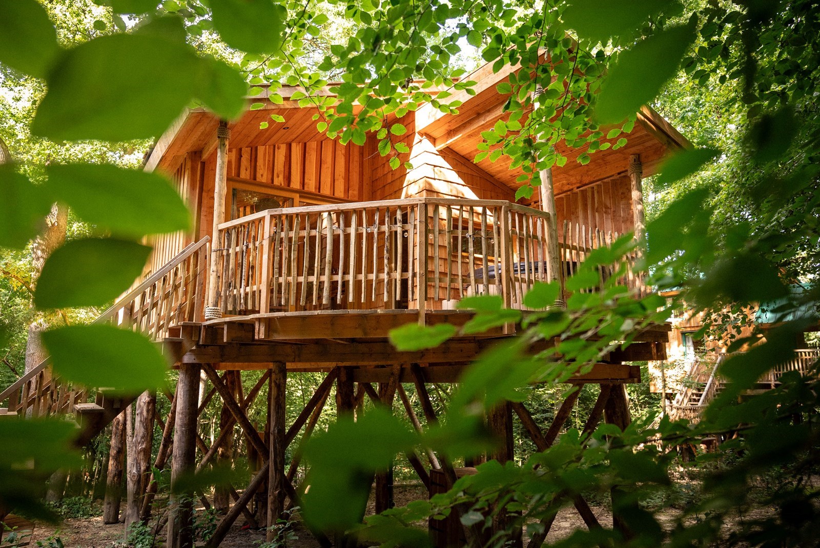 Unieke Boomhut met jacuzzi en sauna op het terras