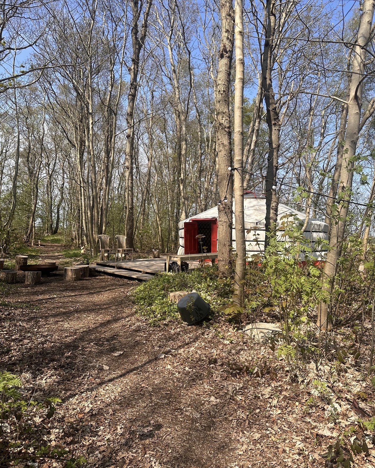 Authentieke Mongoolse yurt midden in een privébos