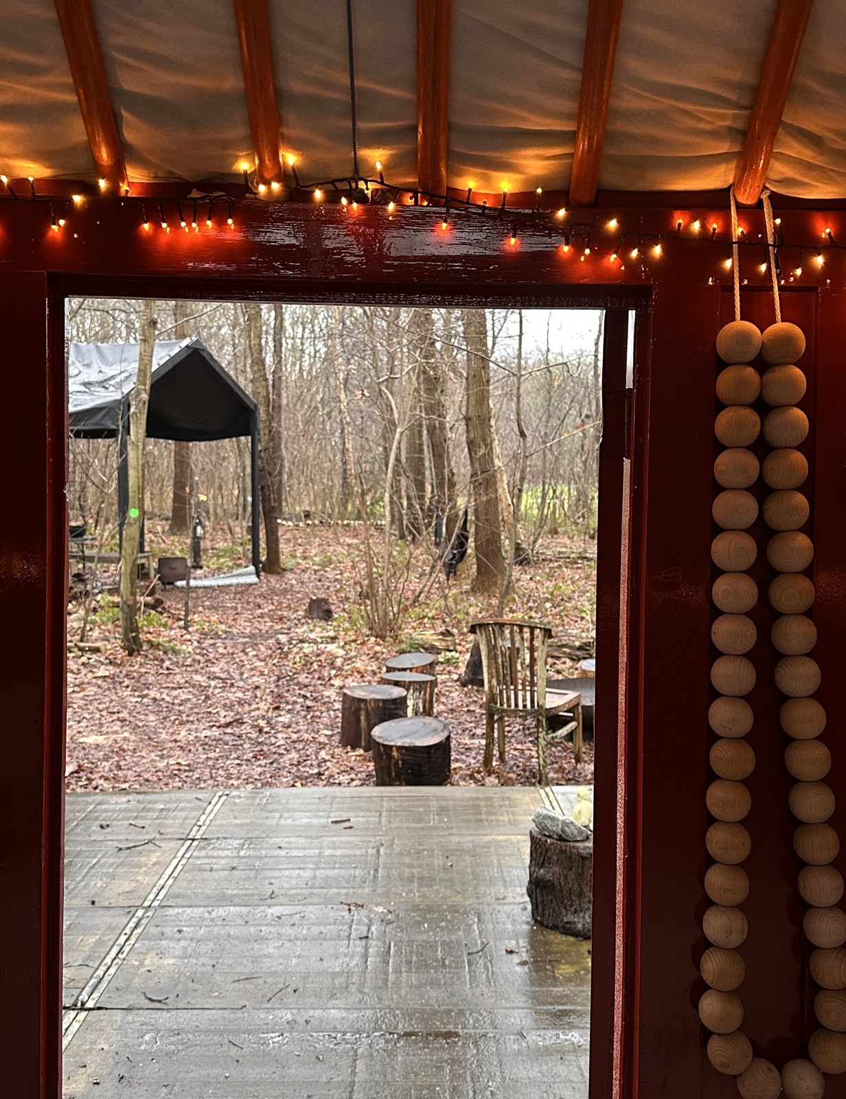 Authentieke Mongoolse yurt midden in een privébos