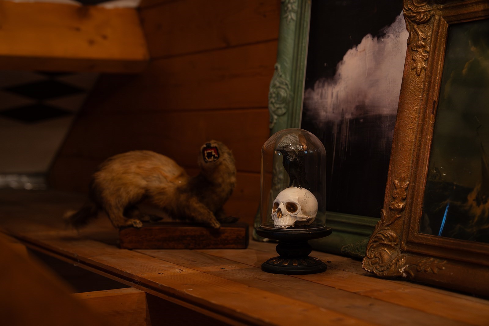 Overnachten tussen de bijzondere snuisterijen in het rariteitenkabinet van Vrouwtje Poppy