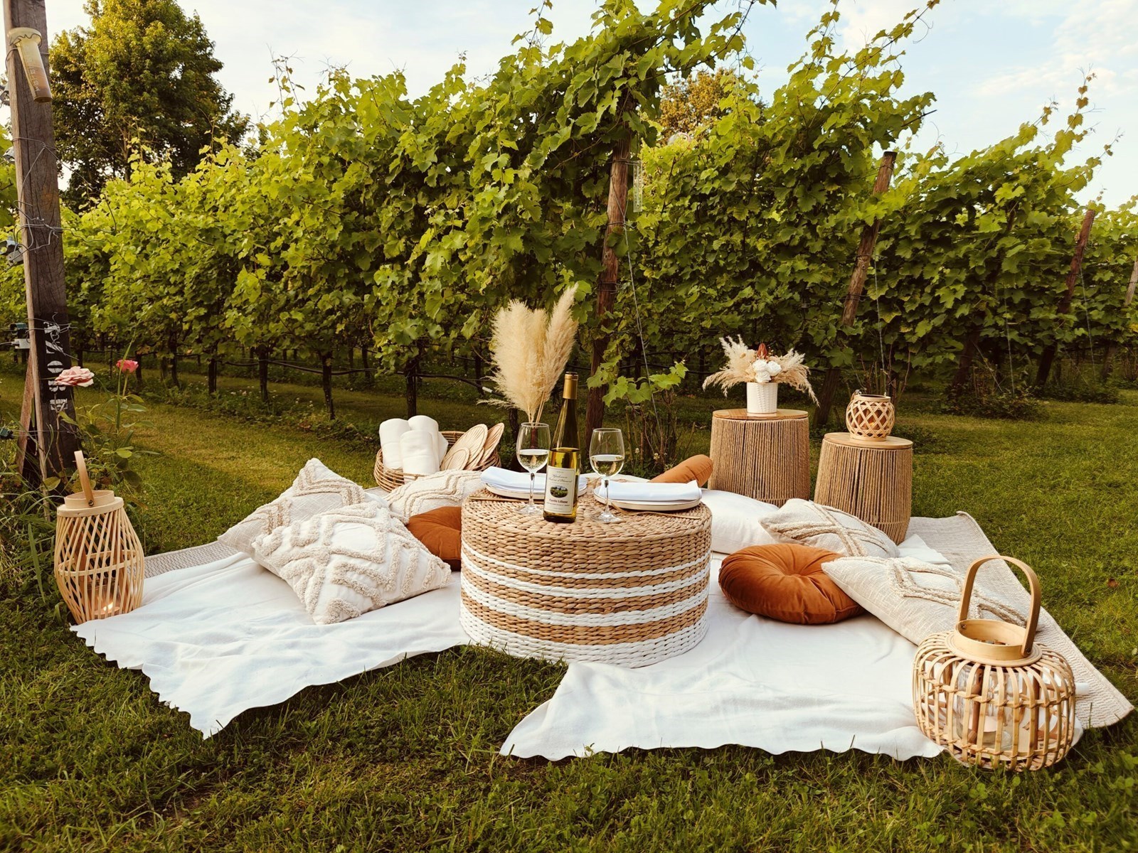 Luxueuze glampingtent op een prachtig wijndomein