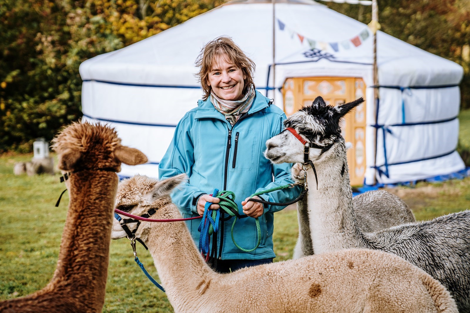 B&B in een Yurt op een Alpacaboerderij