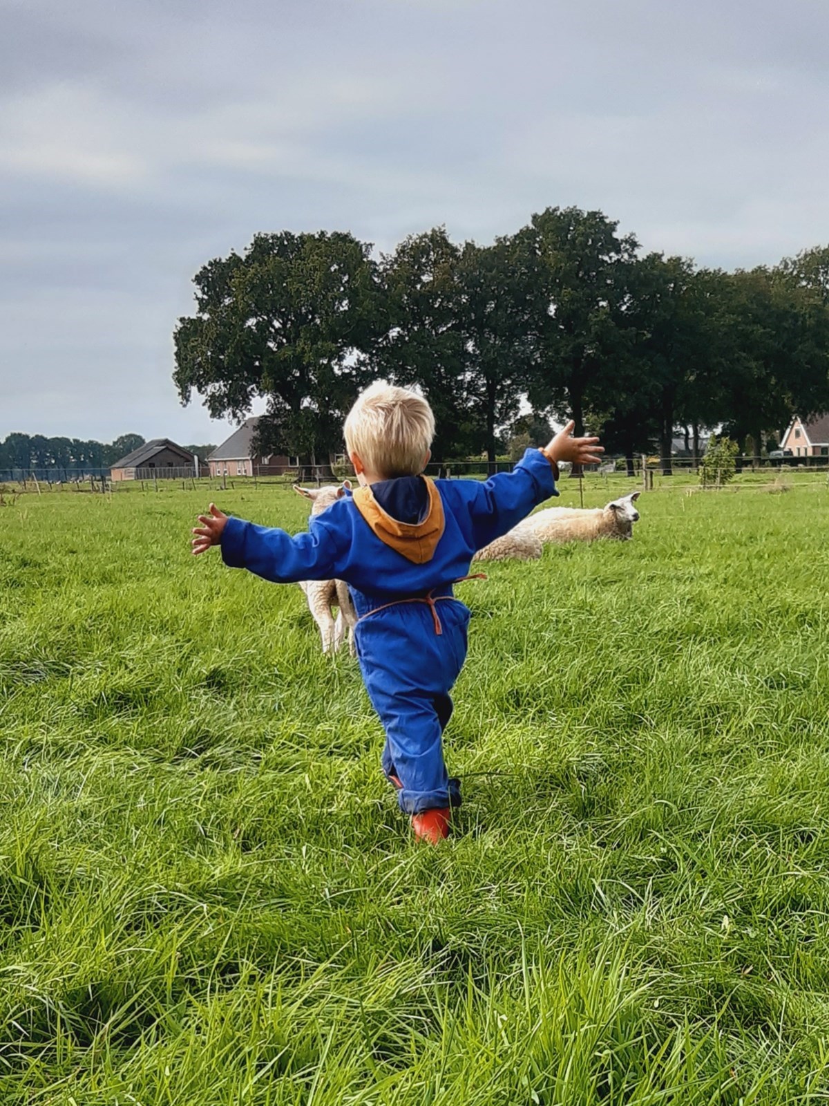 Slapen als een herder op een kleinschalige geiten- en schapenboerderij
