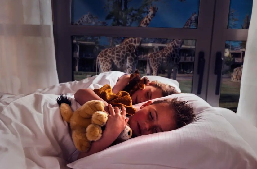 Wakker worden tussen de wilde dieren in het Safari Hotel Beekse Bergen