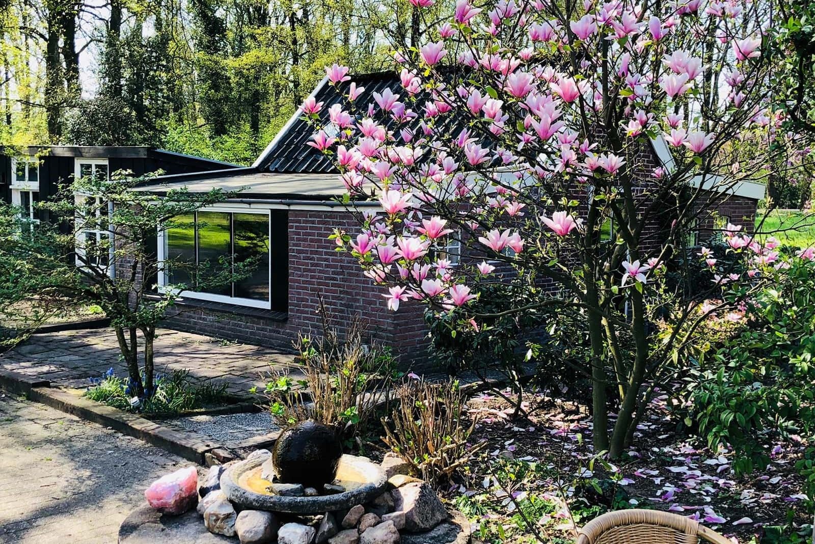 Superknus klein vakantiehuisje met slaapzoldertje