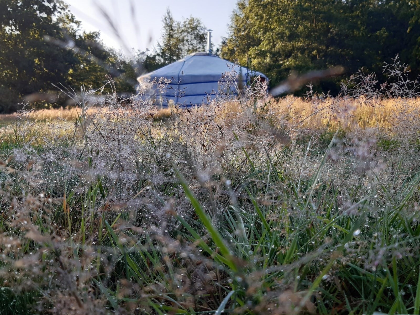 Samen genieten in een fijne Yurt op magisch plekje midden in een bosrijke omgeving