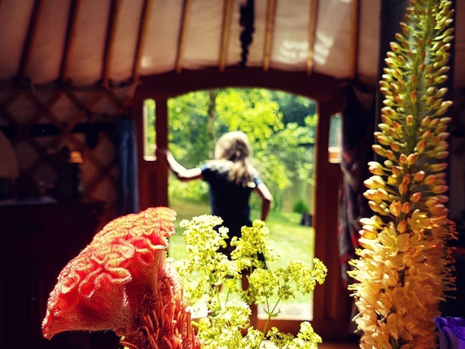 Samen genieten in een fijne Yurt op magisch plekje midden in een bosrijke omgeving