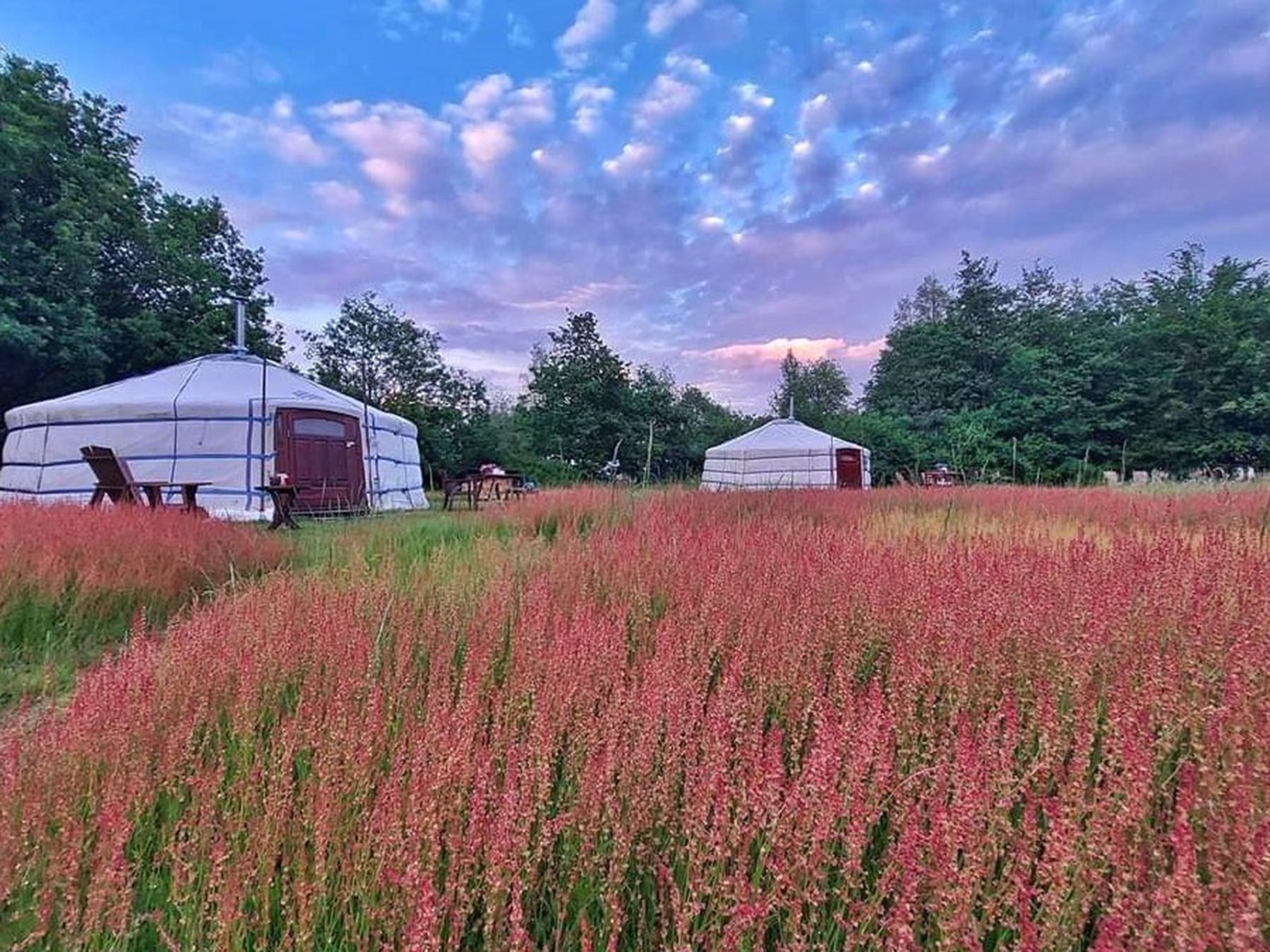 Samen genieten in een fijne Yurt op magisch plekje midden in een bosrijke omgeving