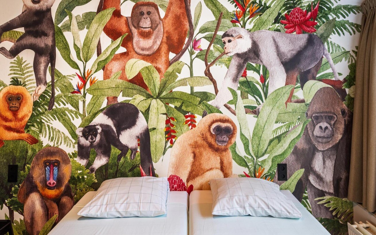 Aapjes kijken in deze bijzondere Apenheul familiekamer