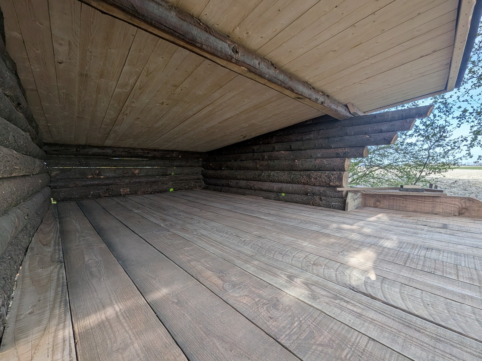 Back to basic in een authentieke Zweedse shelter in de Groningse wildernis