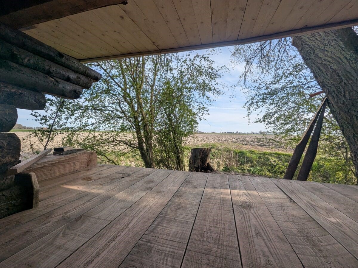 Back to basic in een authentieke Zweedse shelter in de Groningse wildernis