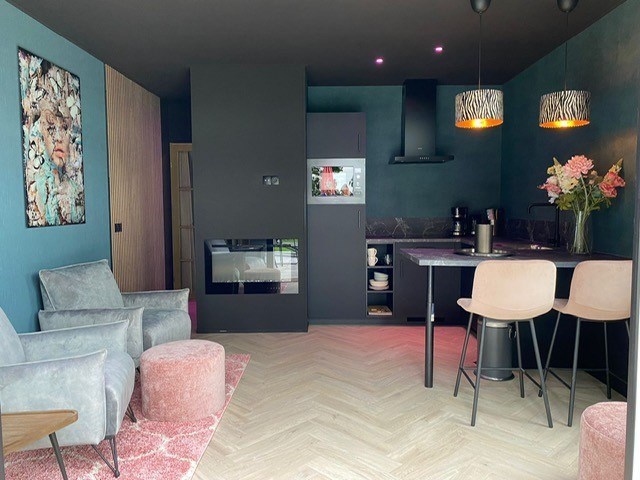 Wellnesslodge met sauna en jacuzzi met een prachtig uitzicht over de Drentse natuur